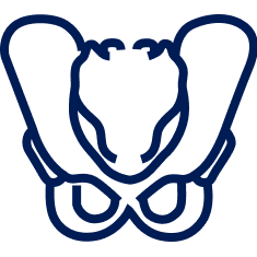 Pelvic and Acetabular Surgeries